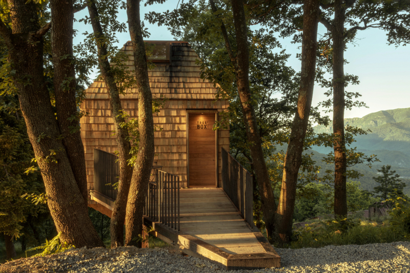 Домик-ящик на дереве TreeBOX Cabin в Альпизелле, Италия